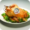 GoodCook Everyday Meat Thermometer with Bi-directional Dial for Meat Type