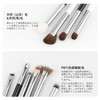 DUcare 1061 Eye Shadow Brush, Set of 10, Mini Eye