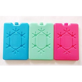 Ice Pack Bricks Freezer Blocks | Reusable | For Cooler Bag Box Travel Picnic Camping Lunch Box(Any Random Color) (Pack of 2)