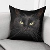 ZFENGYYUAN Stylish Decorative Throw Pillow Case Covers Bedroom Sofa Living