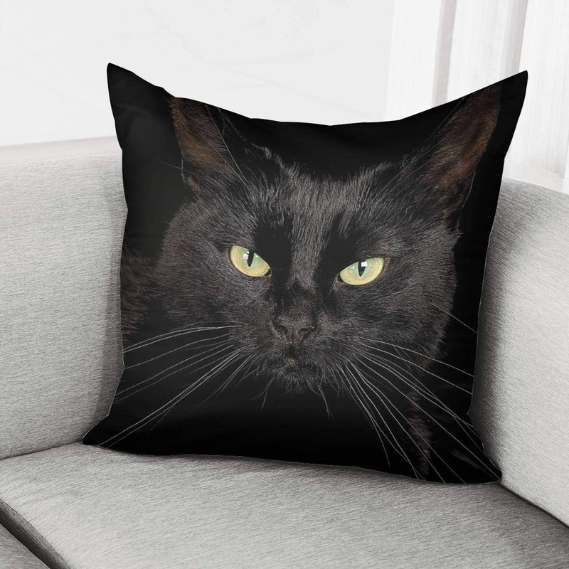 ZFENGYYUAN Stylish Decorative Throw Pillow Case Covers Bedroom Sofa Living