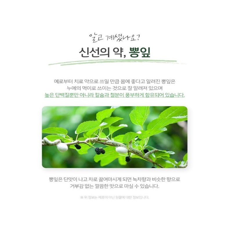 국내산 고창 뽕나무잎 분말 차 뽕잎가루 500g Domestic Gochang Mulberry