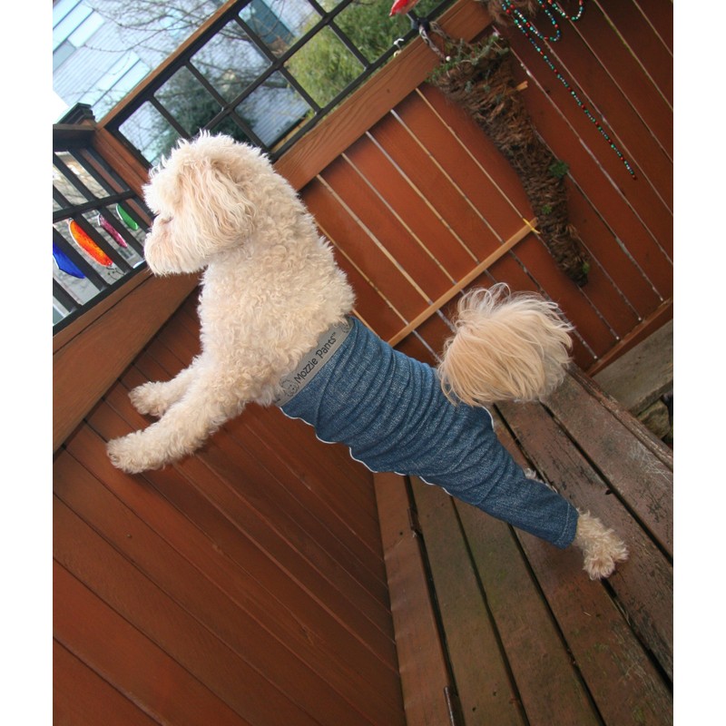 Mozzie Pants Original Dog Pants, E-Collar Alternative, Dog Pajamas, Dog