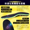 Link-N インソール 【理学療法医師共同開発】 衝撃吸収 土踏まず 中敷き メンズ レディース アーチサポート 【滑り止め加工でホールド力アップ】