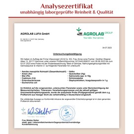 VITACONCEPT PRAXIS FR ANTI-AGING-MEDIZIN Multivitamin I Best of Gemse I100 Kapseln I hochdosierte Vitamine, Enzyme und Pflanzenstoffe I laborgeprft I vegan I VITACONCEPT