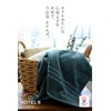 Hiorie Imabari Towel, Certified, Hotel’s Set of 2, Silver Gray,