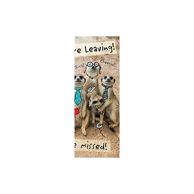 Piccadilly Greetings Modern Large Card Leaving - 12 x 9