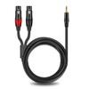 DREMAKE 3FT 1/8'' Male to Dual XLR Female Audio Y
