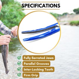 Versatile Angling Tools Fishing Forceps Made of Stainless Steel 5.5" Long Curved Hemostats with Serrated Jaws, Locking Mechanism, and Lightweight Colorful Designs (Multi-Dew Drops)