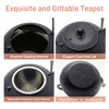 SECHUDO Japanese Tetsubin Cast Iron Teapot Tea Kettle pot with