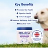 PetLab Co. Probiotic Support Chews – Daily Probiotic Supplements For