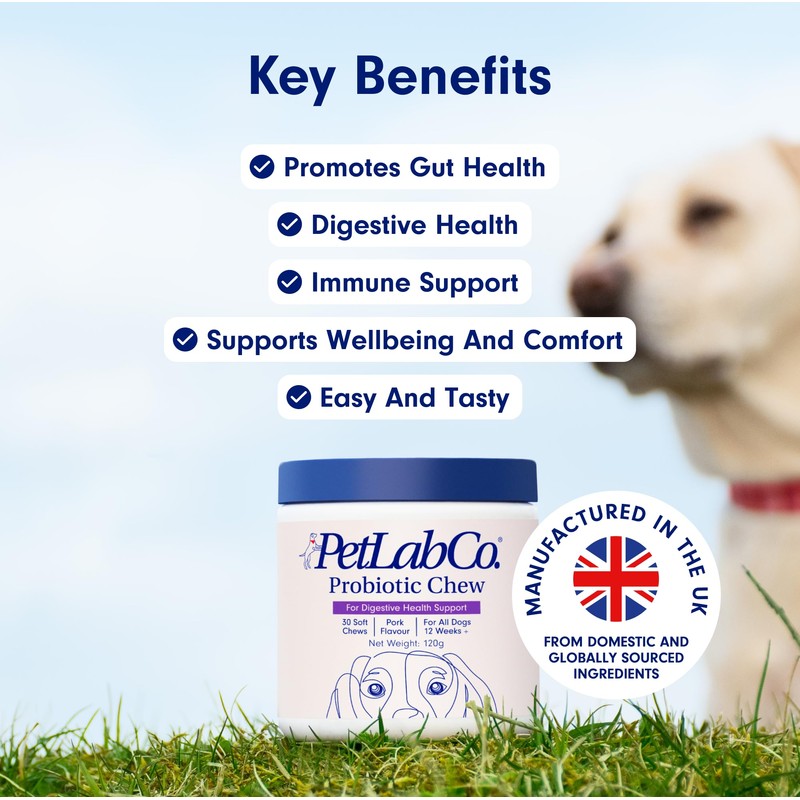 PetLab Co. Probiotic Support Chews – Daily Probiotic Supplements For