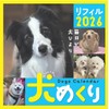 Dog Turning 2026 Calendar Refills Day Dive CK-D26-02