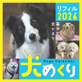 Dog Turning 2026 Calendar Refills Day Dive CK-D26-02