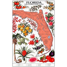VEWETOL Fun Jigsaw Puzzle for Adults 500 Pieces Florida The Everglades State Map Wooden Puzzles Best Brain Exercises Educational Gift Home Decor, 20.5 x 15 Inch