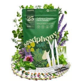 Seedphony 25 Culinary Herb Seeds Variety Pack - 13,055+ Non-GMO Heirloom Green, Violet
