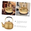 CAXUSD 1l Korean Style Water Boiler Electric Kettle Teapot Practical