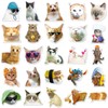 Meme Cat Stickers for Laptop(50 Pcs),Gift for Kids Teens Adults