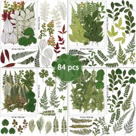 84 Pcs Dried Pressed Leaves Flowers Real Natural Dried Leaves Plant Kit Assorted Dried Greenery for Resin Art DIY Crafts Party Decorations Bookmarks Scrapbooking Candle Soap Making, 20 Types