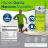 Max Hydrate Endurance Tubos Tabletas Alto Rendimiento Electrolítico Fizing Cítricos