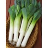 KIRA SEEDS - Seeds Leek Autumn Giant Onion - Heirloom