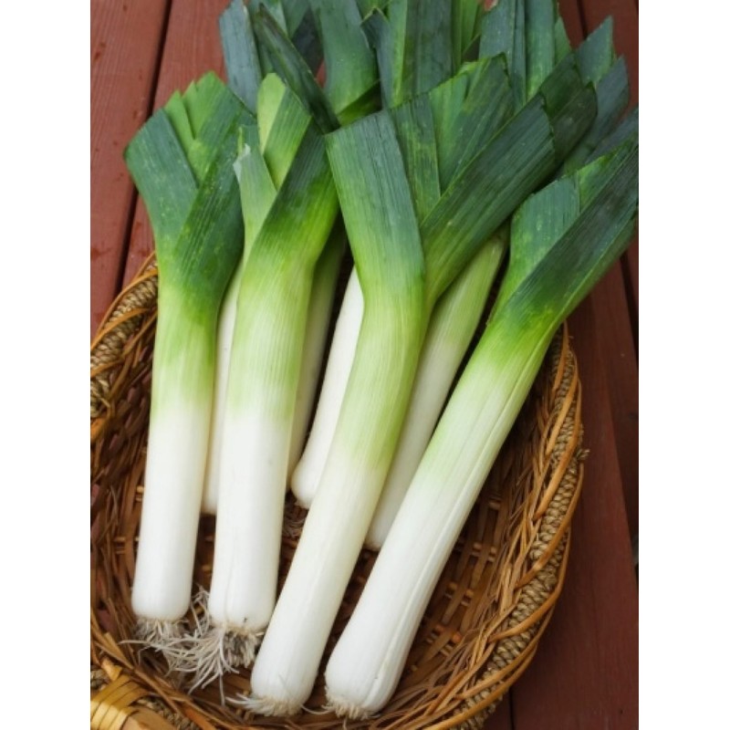 KIRA SEEDS - Seeds Leek Autumn Giant Onion - Heirloom