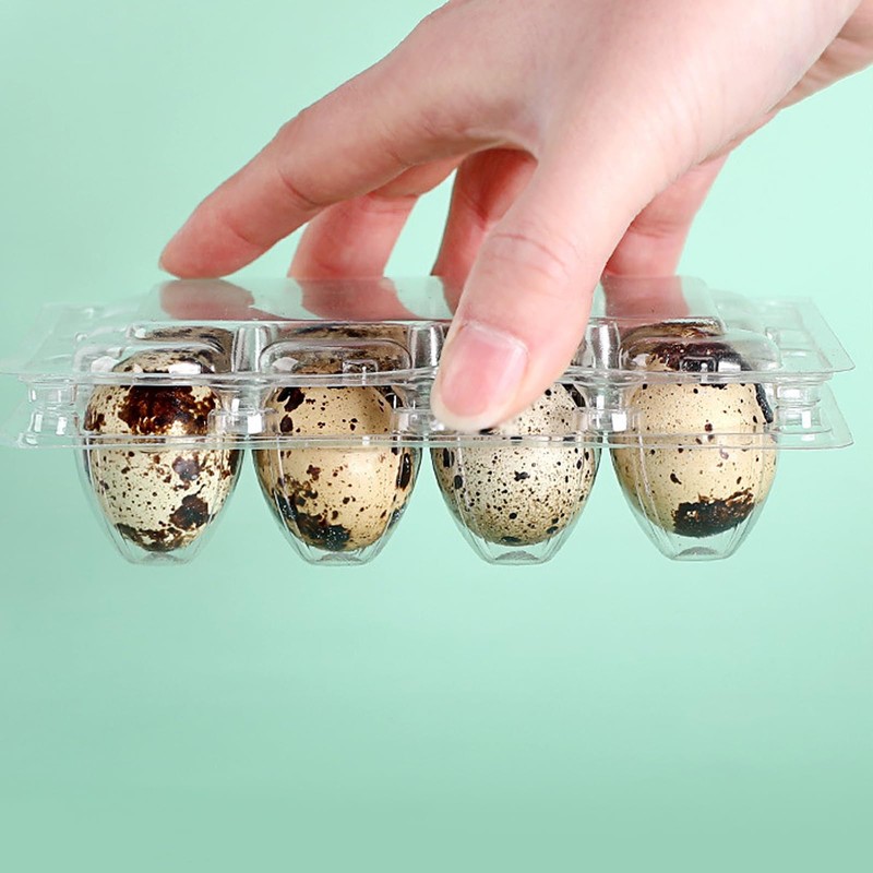 APACALI Pack of 60 Quail Egg Boxes, Quail Egg Boxes,