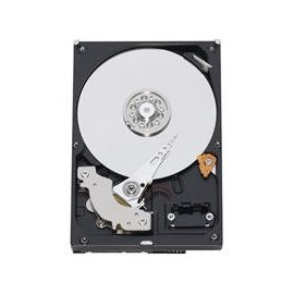 Western Digital RE2-GP Enterprise 750 GB Bulk/OEM Hard Drive 3.5 Inch, 16 MB Cache, 5400RPM SATA II WD7500AYPS