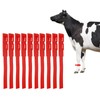 Pack of 10 Cattle Identification Bands - High Quality Safe