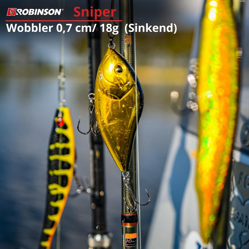 Robinson Fishing Lure for Large Predatory Fish - Jerkbait Wobbler,