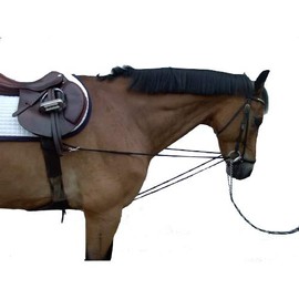 Pfote-und-huf Triangular Reins Viennese Reins Running Reins Pony Extra Tailor Pony Haflinger Icelanders