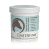Coat Defense for Horses Trouble Spot Drying Paste