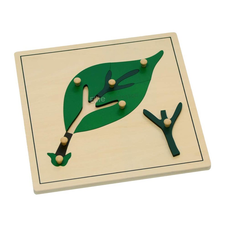 Elite Montessori Leaf Puzzles Toy for Preschool Early Child Development
