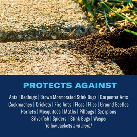 BioAdvanced Complete Insect Killer, Ready-to-Use, 1 Gal