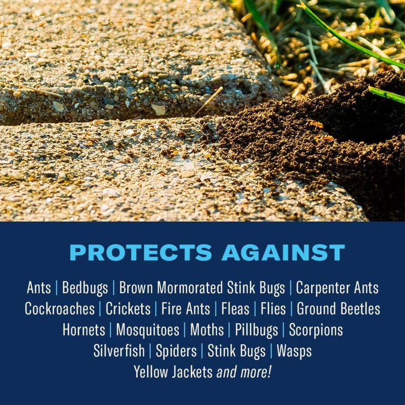 BioAdvanced Complete Insect Killer, Ready-to-Use, 1 Gal