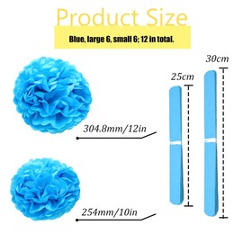 Ruidee 12 Pieces Tissue Paper Pompoms 10in and 12in Hanging Tissue Flowers Decorations Colour Paper Flower Ball Paper Flowers Pom Poms for Party Wedding Decoration (ZH/Sky Blue)