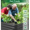 waaliji 3x3x1 FT Raised Garden Bed with Steel Cable, Elevated