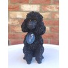 Vivid Arts (Poodle Sitting Black
