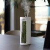 Mosslab Moss Air – Living Moss Terrarium Humidifier | Soothing