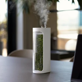 Mosslab Moss Air – Living Moss Terrarium Humidifier | Soothing Mist Fountain & Ambient Light | Zen Desk Decor, Aesthetic Room Decor | Portable & Whisper-Quiet
