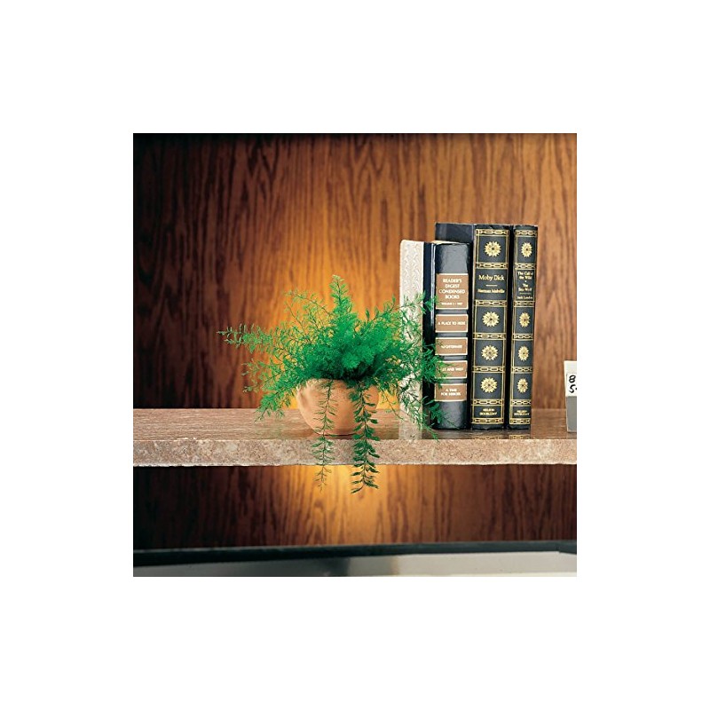 Mysterious Air Fern, Set of 2 – Water & Soil