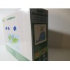 BiOBUDDi Building Blocks - Arctic Whale - 12 Pieces -