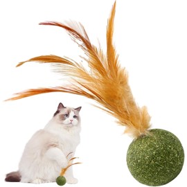 Pxiryanlow Interactive Catnip Cat Toys,Cat Toys Catnip - Edible Kitten Catnip Feather Ball | Cat Toys for Cats Lick,Safe Healthy Kitten Chew Toys, Teeth Cleaning Cat Toys,Cat Treats,Catnip Toys
