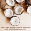 Buyitshipit - Coconut from Our Beach Collection - Perfect for