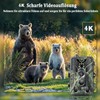 FunKind Wildlife Camera 4G App, 120 MP 4K, Wildlife Camera