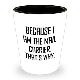 Mail Carrier Gifts from Friends and Family for Christmas Unique Shot Glass - Because I Am The Mail Carrier. That's Why.
