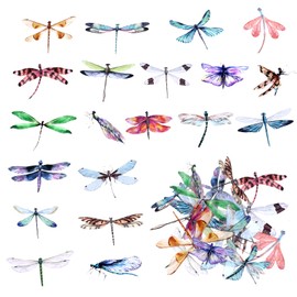 Gjinxi 40 Pcs Dragonfly Stickers PET Transparent Decorative Stickers Fly Bird Stickers Nature Decals Vintage Journaling Stickers Supplies for Scrapbook Notebook Water Bottle Cards Decoration