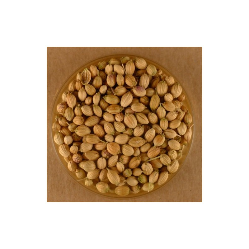 Coriander Seeds, Whole - 5 lbs Bulk