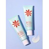 Sebum Zero Aloe Rice Vegan Sun Cream SPF 50+, PA++++