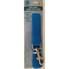 Greenbrier kennel Club Dog Leashes Leash Nylon Strap 1” x 48” Quick Release Buckle Select: Color - Turquoise